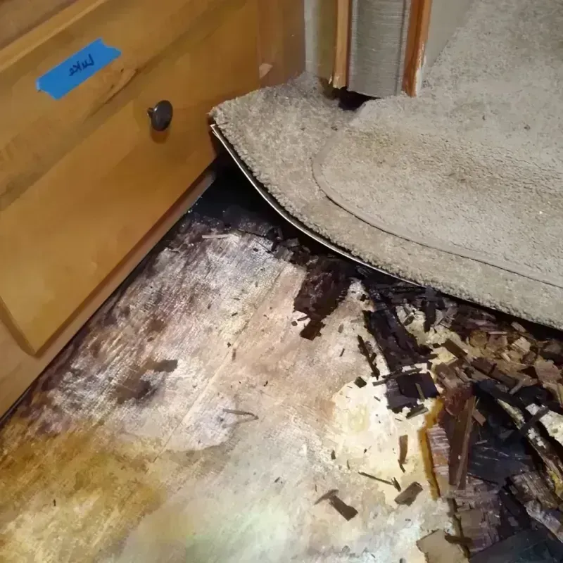 Wood Floor Water Damage in Frostproof, FL